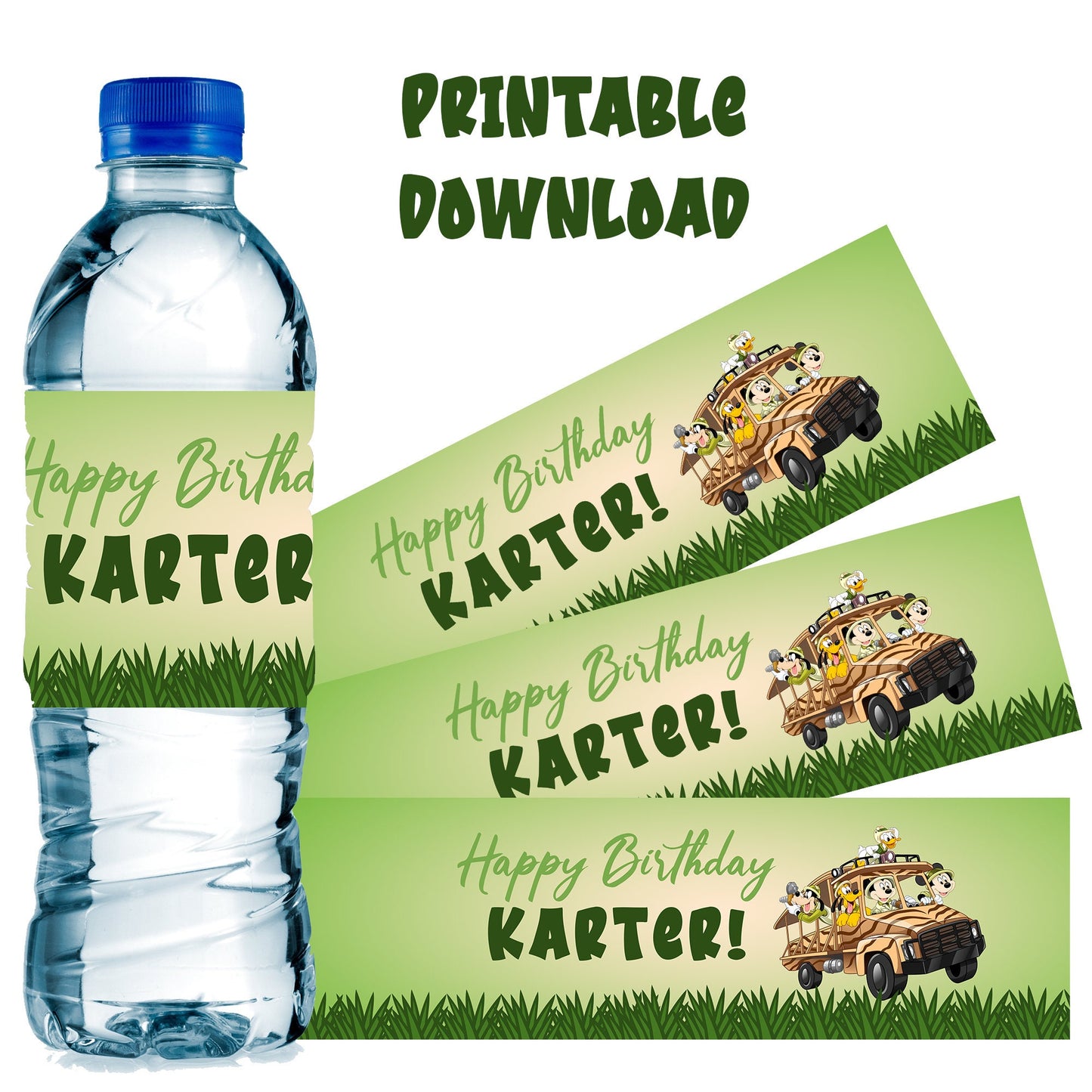 Mickey Safari Birthday Theme Water Bottle Label Download PDF for Printing